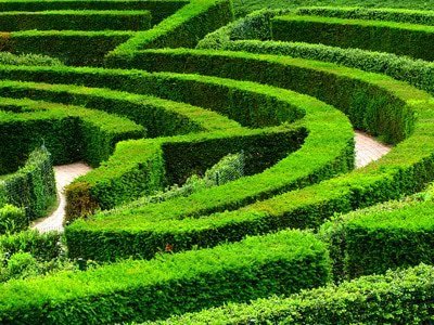 l'intuition, clé du succès